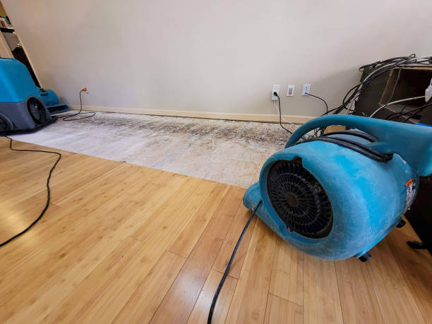 Professional Structural Drying technician working in Middleport, OH